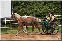 4H-Dist-07-0575.jpg