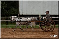 4H-Dist-07-0577.jpg