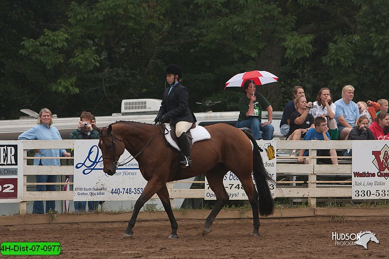 4H-Dist-07-0977.jpg