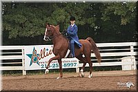 4H-Dist-07-0998.jpg