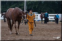 4H-Dist-07-0533.jpg