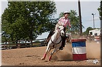 LC_Fair_07-_0544.jpg