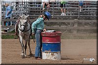 LC_Fair_07-_0667.jpg