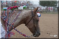 LC_Fair_07-_1018.jpg