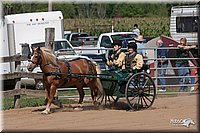 LC_Fair_07-_0255.jpg