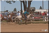 LC_Fair_07-_0441.jpg