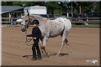 LC_Fair_07-_0155.jpg