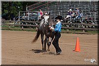 LC_Fair_07-_0167.jpg