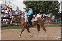 LC_Fair_07-_0764.jpg