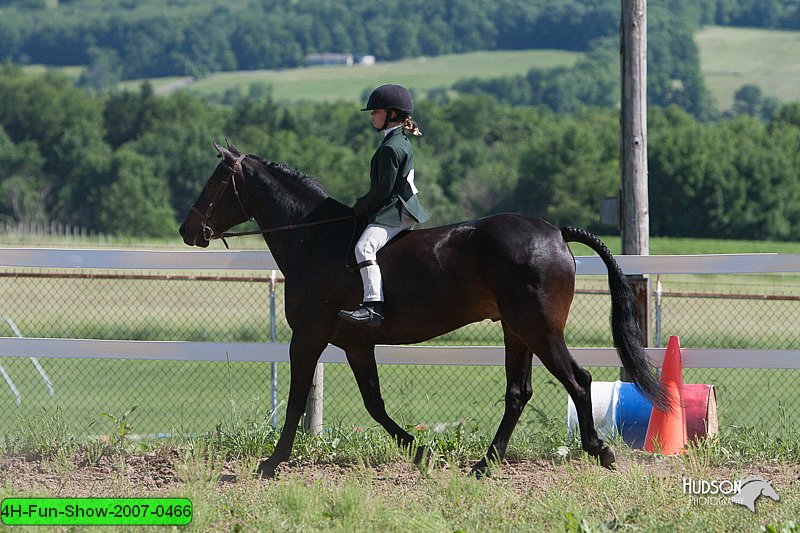 4H-Fun-Show-2007-0466.jpg