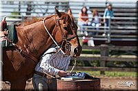 4H-Fun-Show-2007-0413.jpg