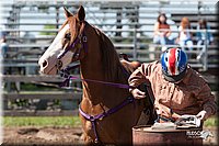 4H-Fun-Show-2007-0418.jpg