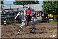 4H-Fun-Show-2007-0428.jpg