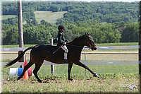 4H-Fun-Show-2007-0487.jpg