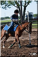 4H-Fun-Show-2007-0562.jpg