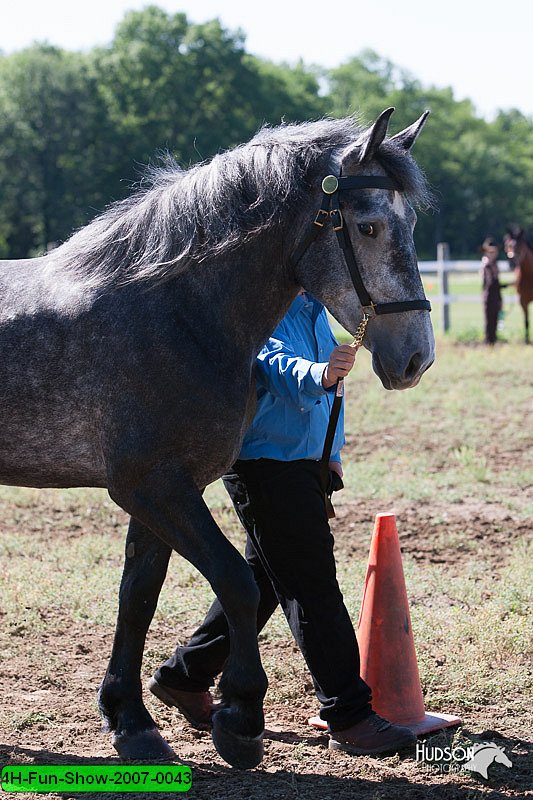 4H-Fun-Show-2007-0043.jpg