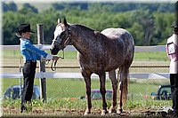 4H-Fun-Show-2007-0086.jpg