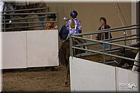 4H-States-07-0387.jpg