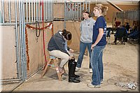 4H-States-07-0746.jpg