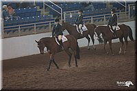 4H-States-07-0659.jpg