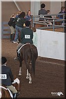 4H-States-07-0694.jpg