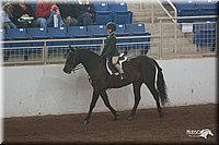 4H-States-07-0697.jpg