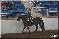 4H-States-07-0708.jpg