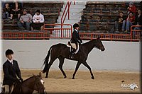 4H-States-07-0877.jpg