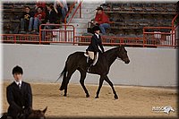 4H-States-07-0878.jpg