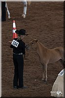 4H-States-07-0609.jpg