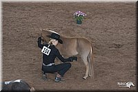 4H-States-07-0611.jpg