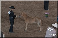 4H-States-07-0614.jpg