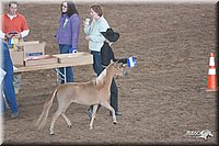 4H-States-07-0617.jpg