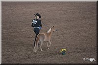 4H-States-07-0619.jpg