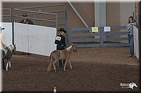 4H-States-07-0621.jpg