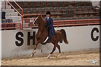 4H-States-07-0249.jpg