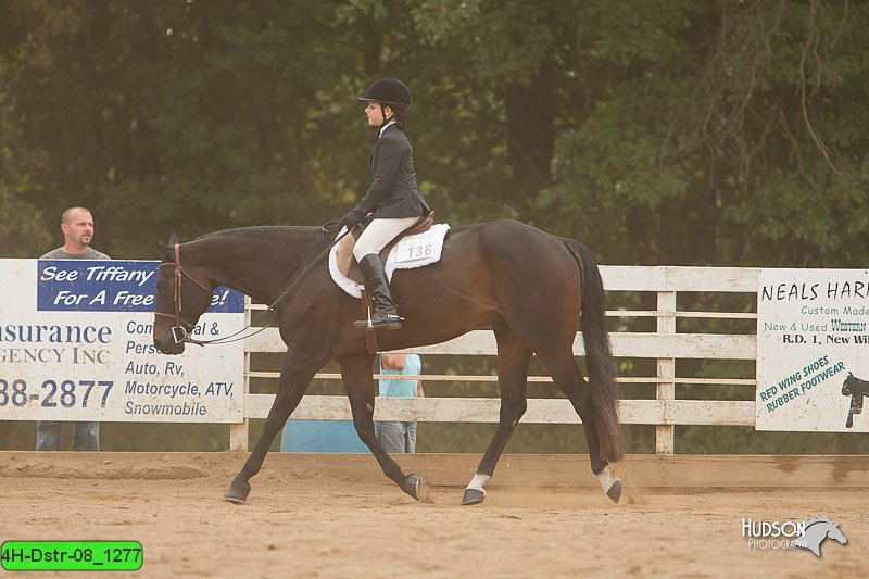4H-Dstr-08_1277.jpg