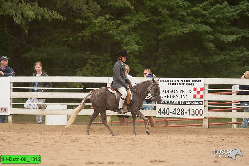 4H-Dstr-08_1312.jpg