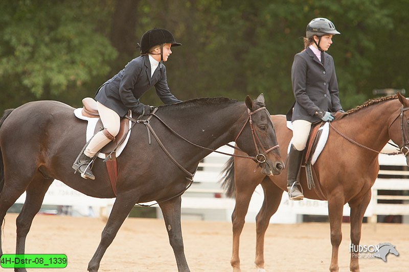 4H-Dstr-08_1339.jpg