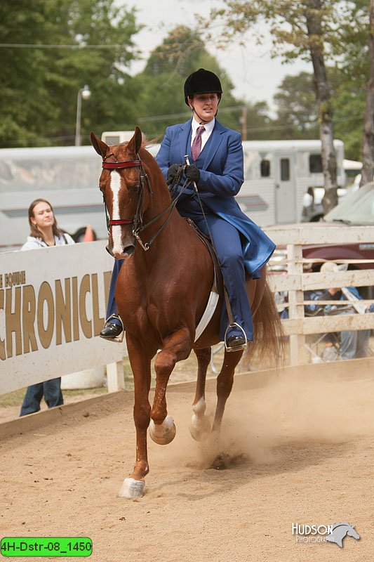 4H-Dstr-08_1450.jpg
