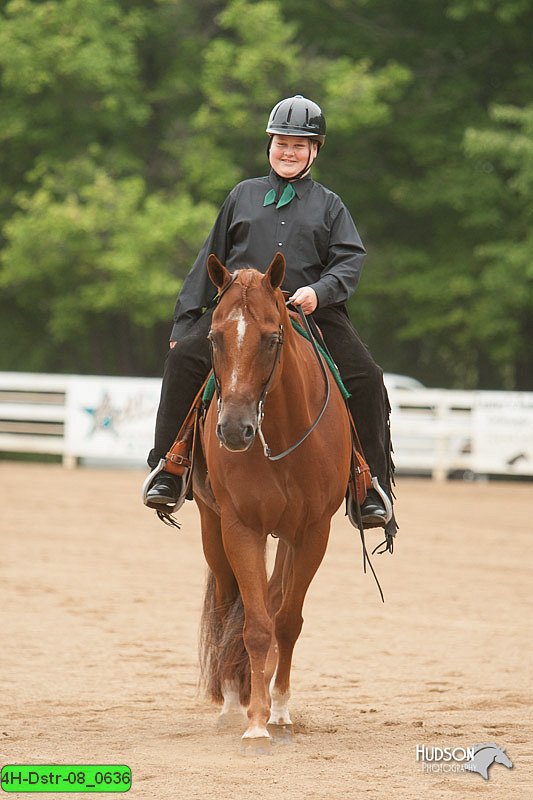 4H-Dstr-08_0636.jpg