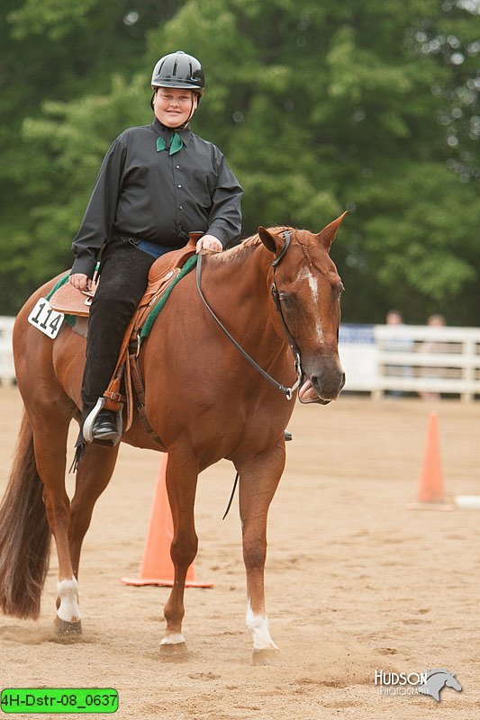 4H-Dstr-08_0637.jpg