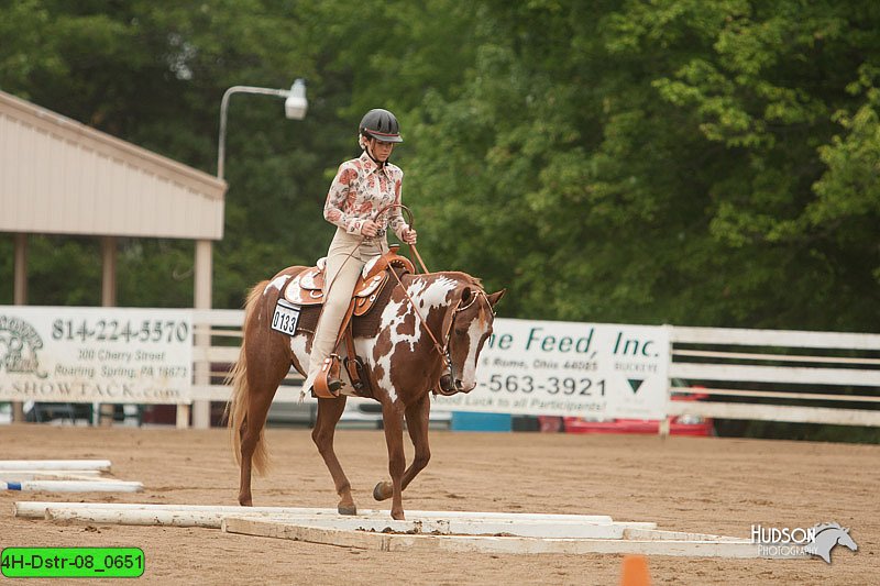4H-Dstr-08_0651.jpg