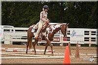 4H-Dstr-08_0648.jpg