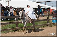 LC-4H-Fair-08_800.jpg