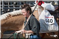 LC-4H-Fair-08_810.jpg