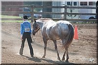 LC-4H-Fair-08_103.jpg