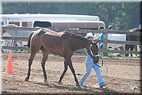 LC-4H-Fair-08_111.jpg