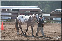 LC-4H-Fair-08_115.jpg