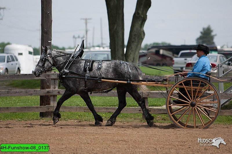 4H-Funshow-08_0137.jpg